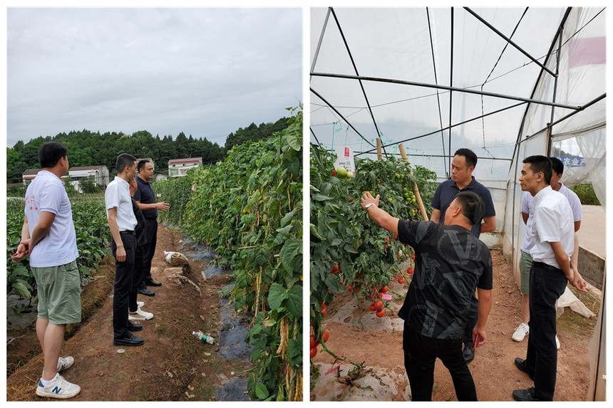 1635752790188342.jpg 未命名.jpg