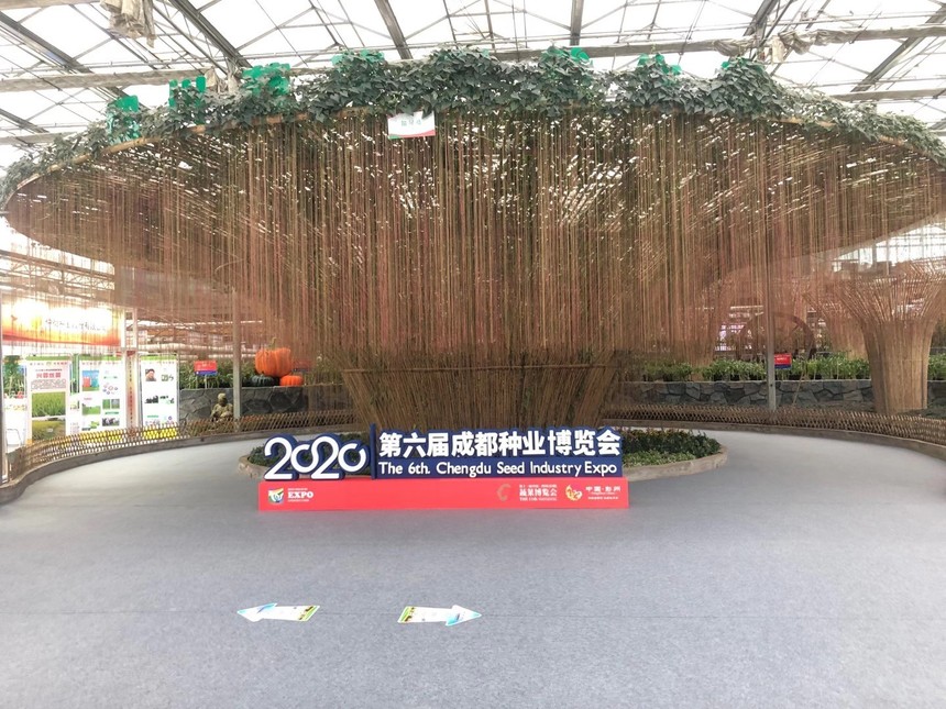 1635925268723500.jpg IMG_9801.JPG