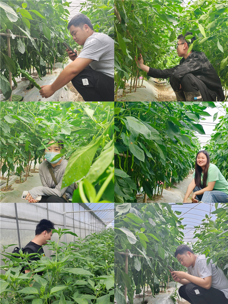 1684996239112570.png 圖片2.png