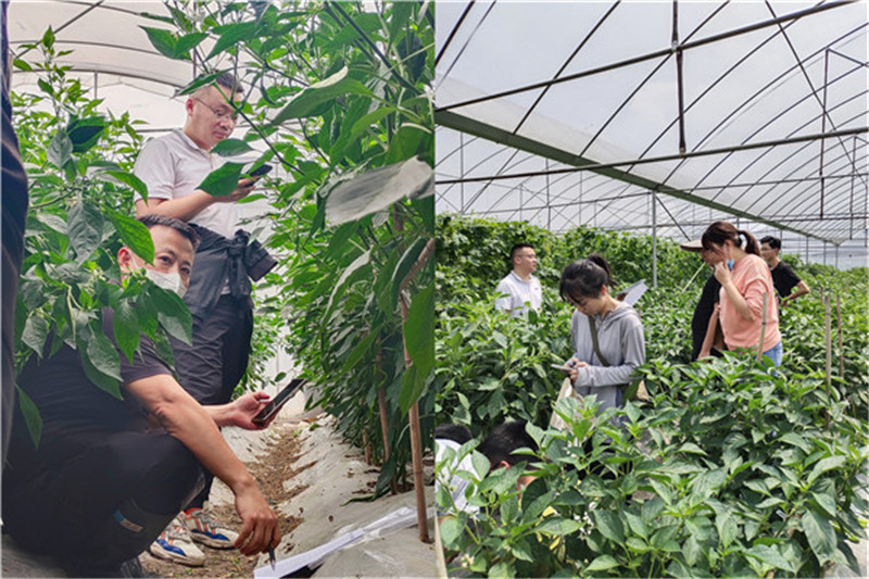 1684996823433234.jpg 未命名.jpg